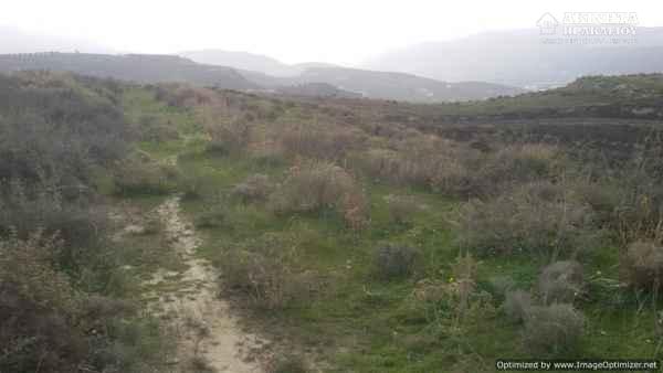 20180207_114846.jpg